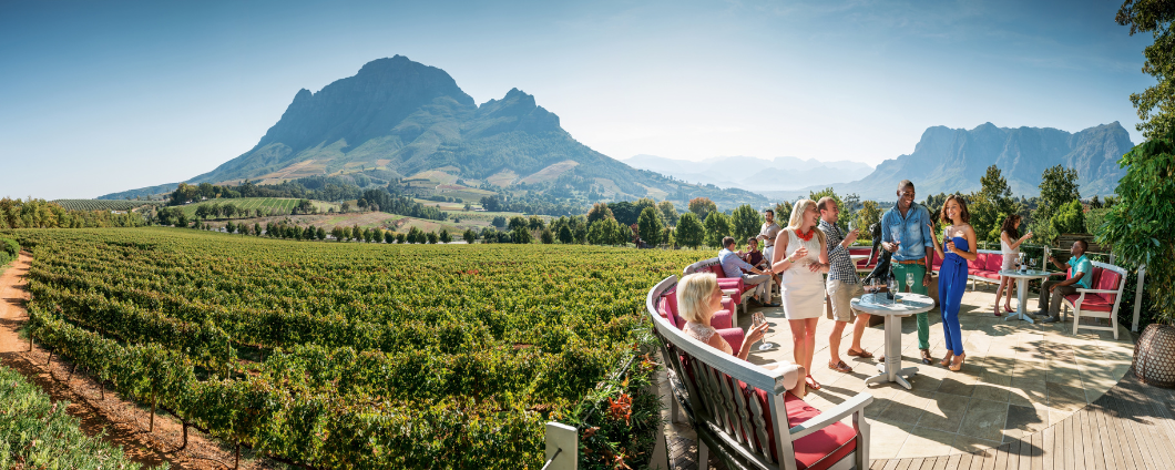 Cape Winelands