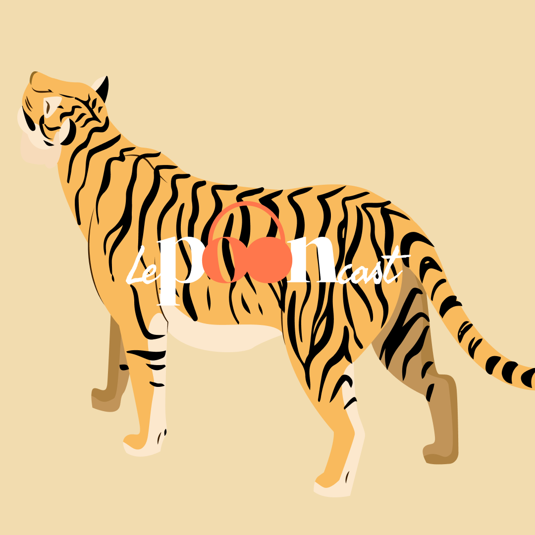 Visuel de l’épisode : Pourquoi les tigres ont-ils des rayures ?