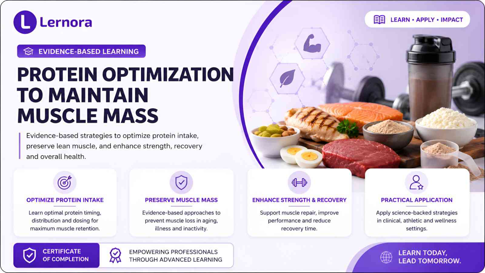 Protein Optimization To Maintain Muscle Mass