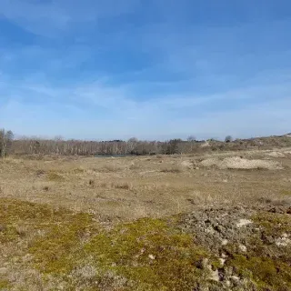 20260321_101802.webp