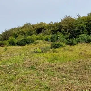 20260829_143137.webp