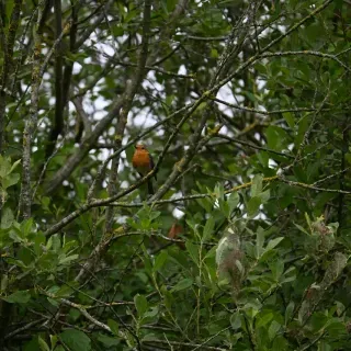 DSC_6012.webp