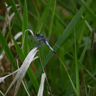 DSC_6028.webp
