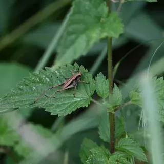 DSC_6044.webp
