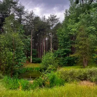 image4.webp