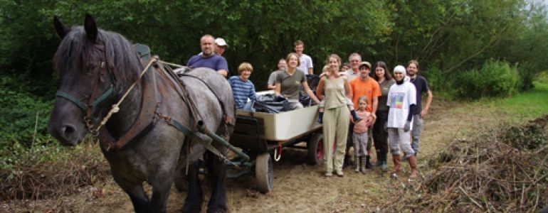 Chantier nature = participants et cheval de trait !