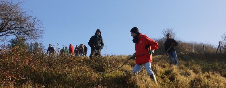 Bilan et résultats des chantiers Blongios à Colembert