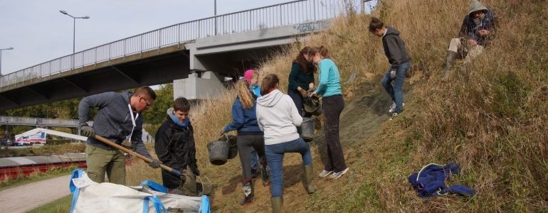 Une butte de plus pour les abeilles solitaires