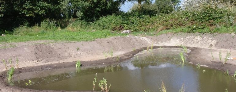 Des bénévoles pour les zones humides : projet de création de 16 mares en 2 ans