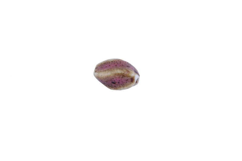 Perle en céramique - ovale - torsadé - rose - tacheté de noir