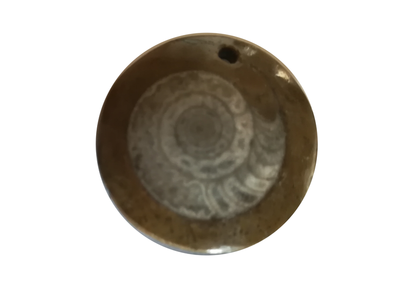 Fossile d'ammonite emprisonné dans la pierre