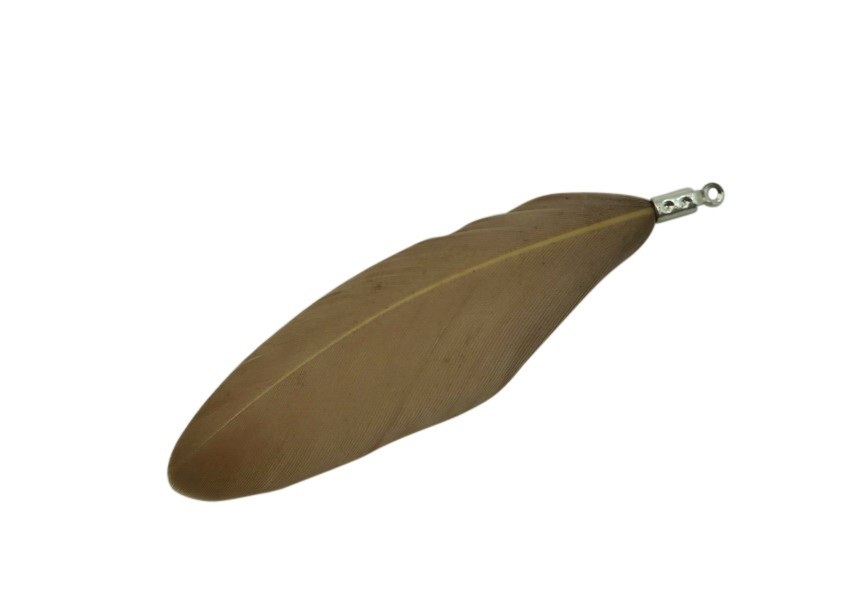 plume brune 60 /30 cm