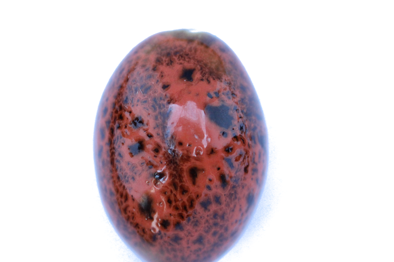Perle en céramique - ovale - orange - tacheté noir