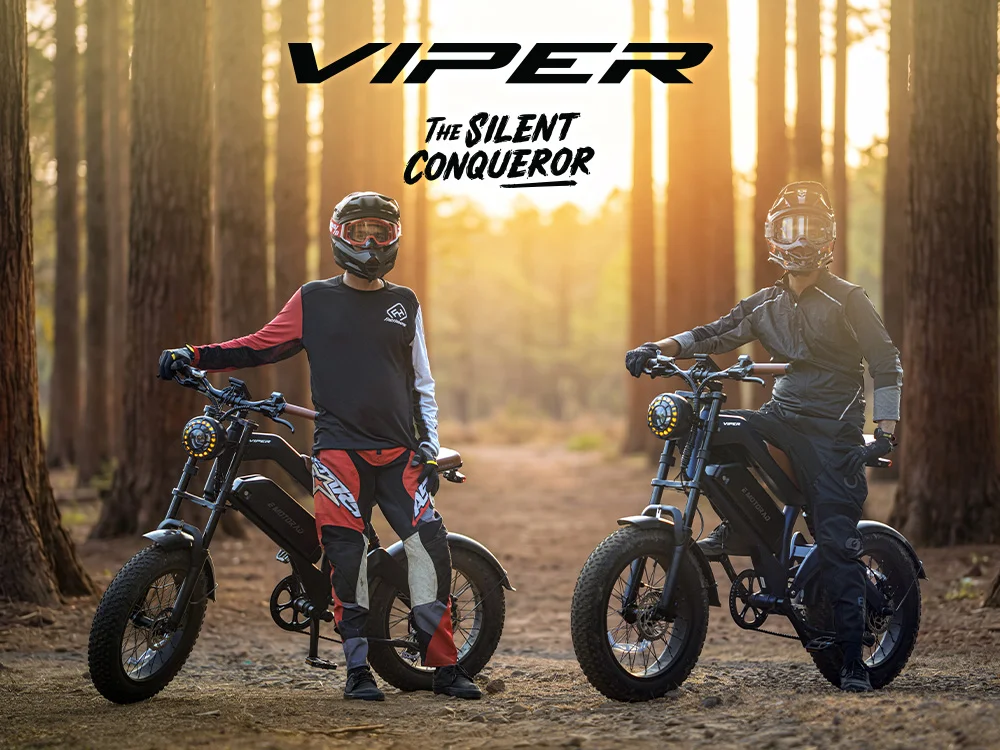 Viper view 5