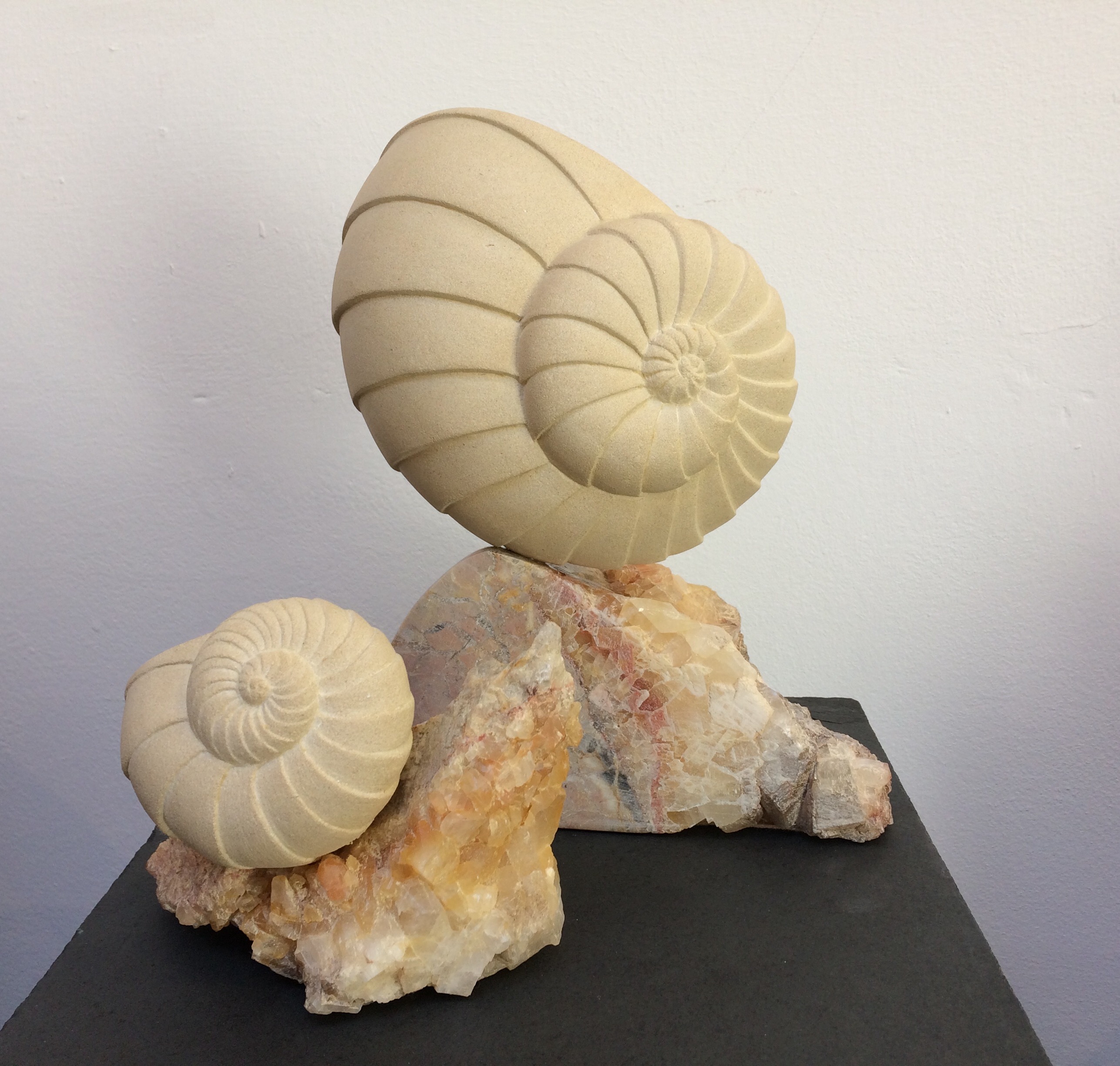 Shell forms