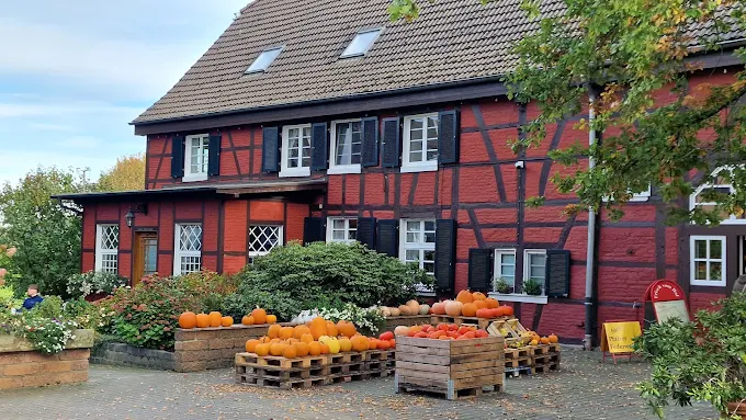 Bild 4