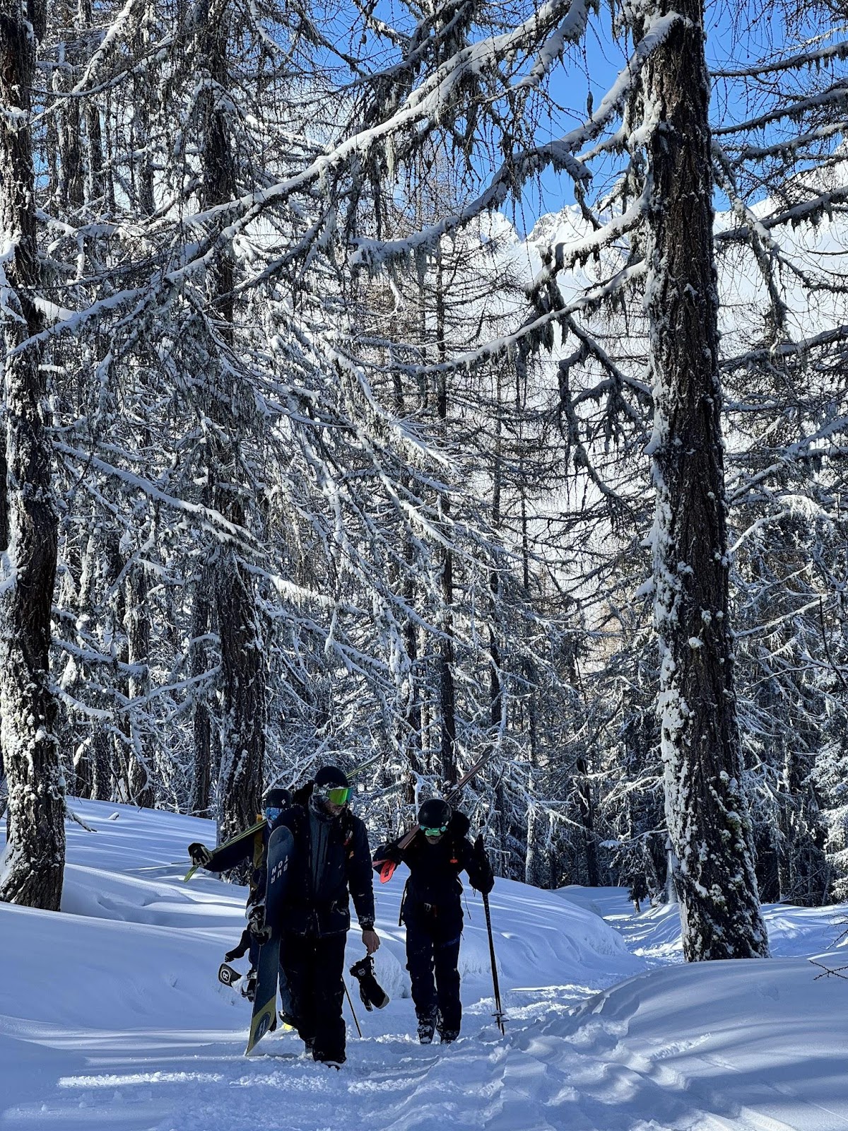 Magic Forrest at Grand Montets