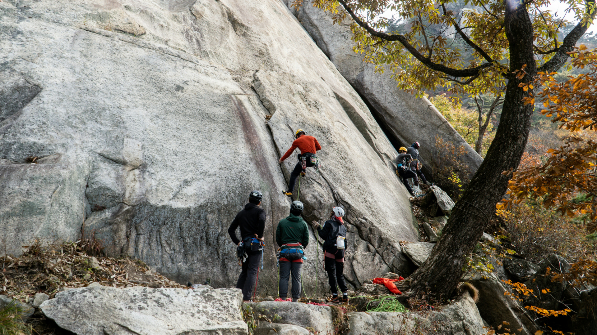 Arrampicata
