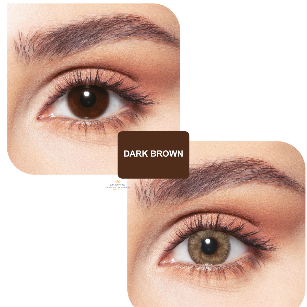 Bella Elite Contact Lenses – Lentilles colorées trimestrielles – Elite Green Olive – vue 2