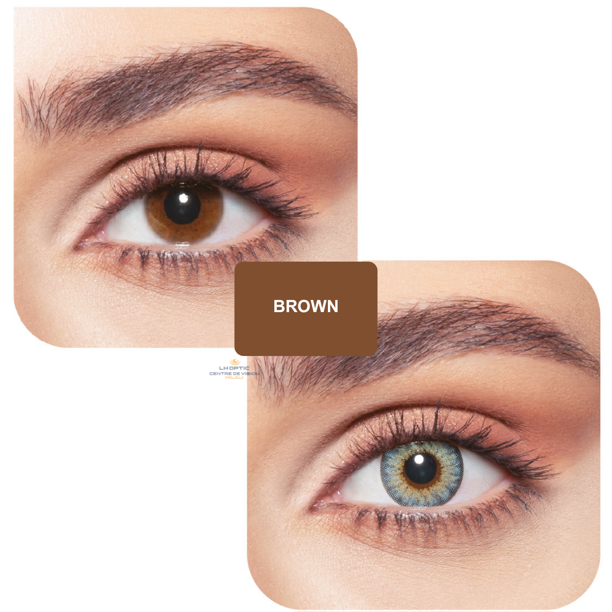 Bella Elite Contact Lenses – Lentilles colorées trimestrielles – Elite Green Olive – vue 3