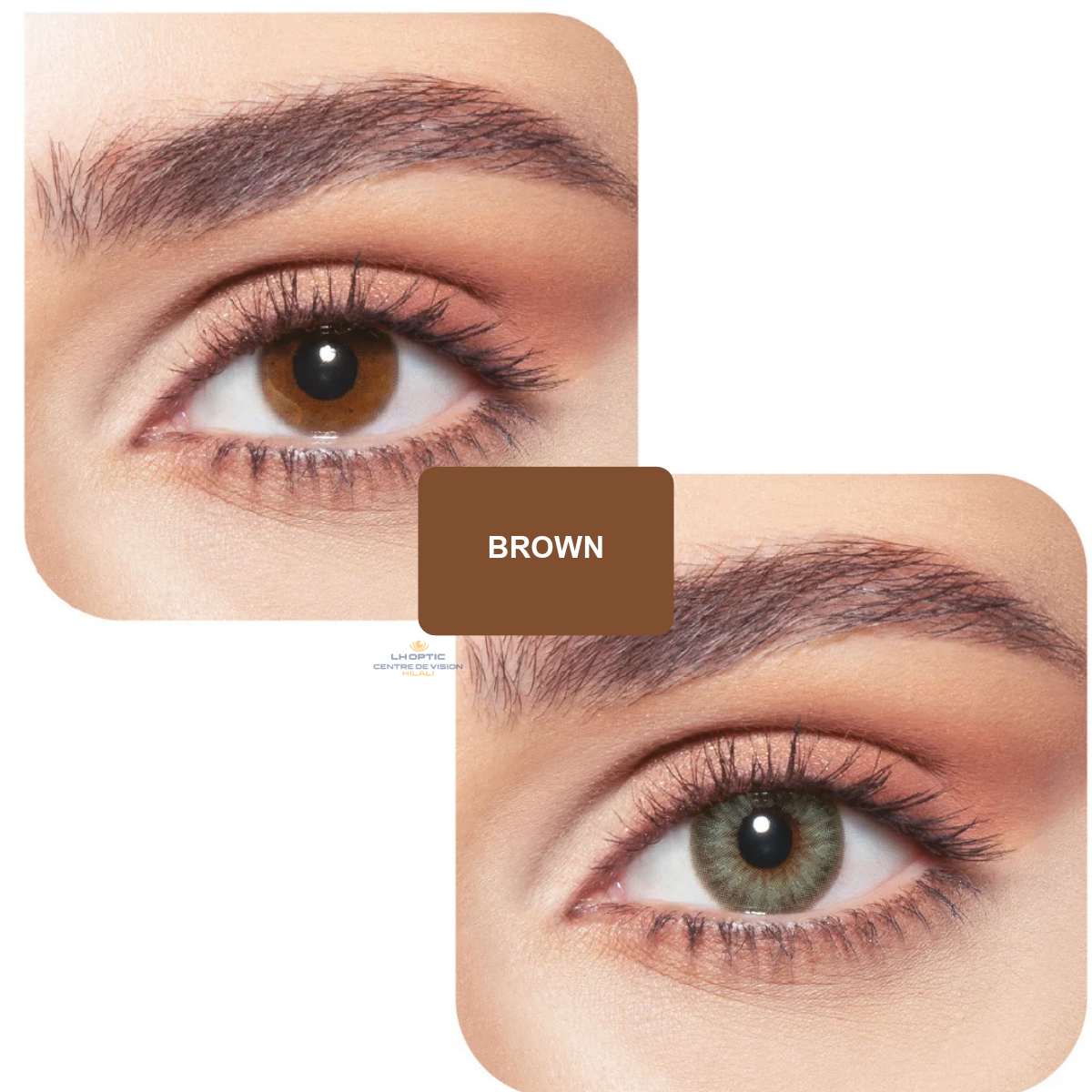 Bella Diamond Contact Lenses – Lentilles colorées trimestrielles – Diamond Gray Green – vue 3