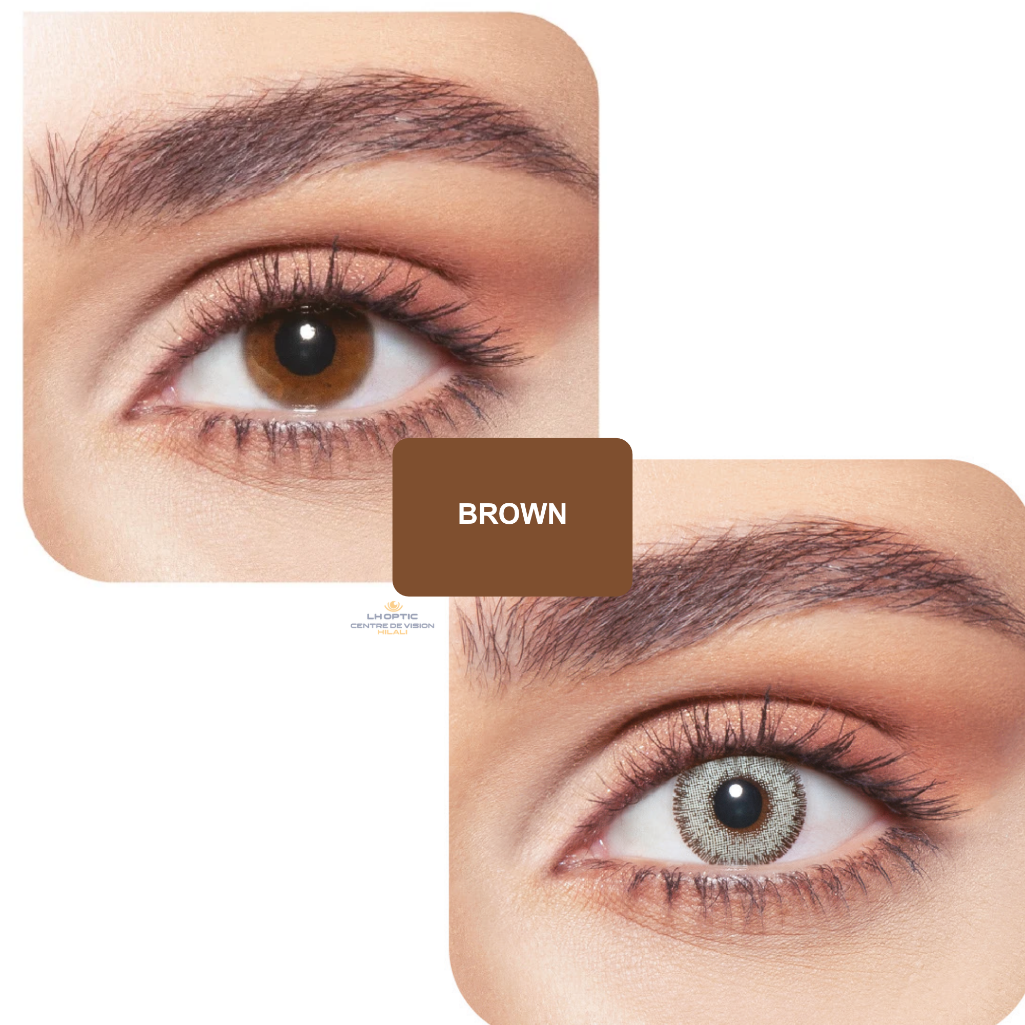 Bella Glow Contact Lenses – Lentilles colorées – Glow Husky Gray Green – vue 3