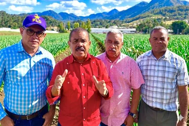 El PLD exige el pago de deudas y un plan de rescate para el ajo en Constanza