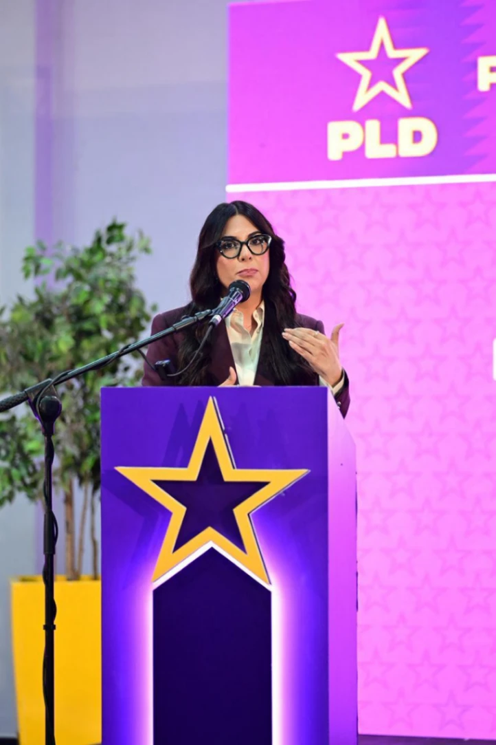 El PLD demanda mayor supervisión y protocolos de salud mental en centros de acogida infantil del Estado