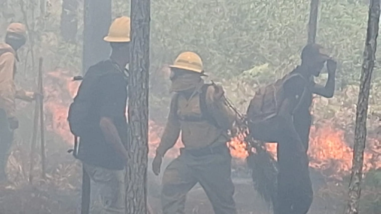 Bomberos forestales logran controlar más del 80% de un segundo incendio en la Sierra de Bahoruco