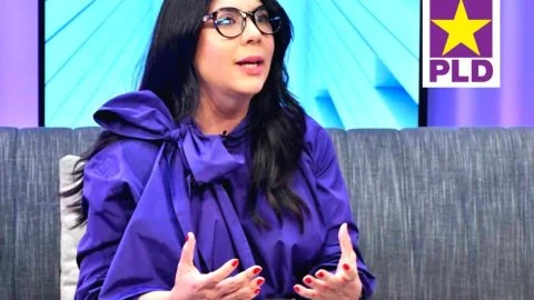 Kenia Lora advierte reforma al Código Penal reduciría hasta 23 años el plazo para denunciar abusos sexuales contra niños.