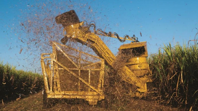 La ocupación agropecuaria cae 8.98 % en RD y el sector acelera el uso de tecnología