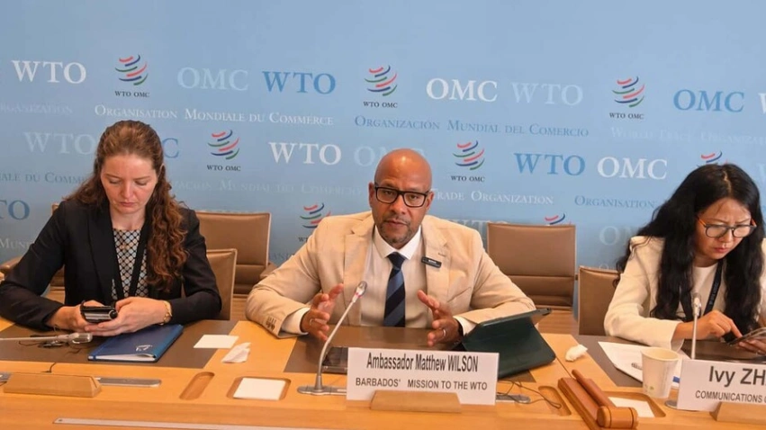 Informalidad y falta de financiamiento frenan a las pequeñas empresas dominicanas, según diplomático de la OMC