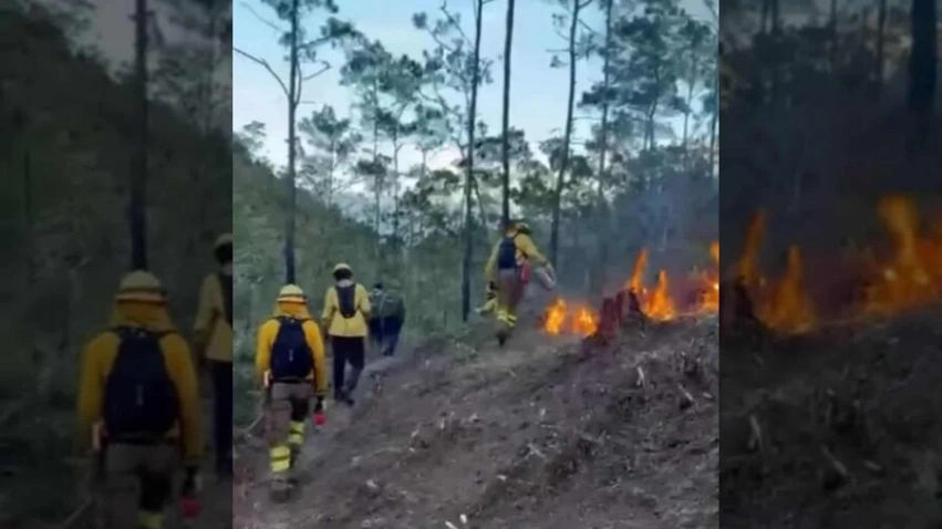 Controlan el incendio forestal en Valle Nuevo tras 36 horas de combate ininterrumpido