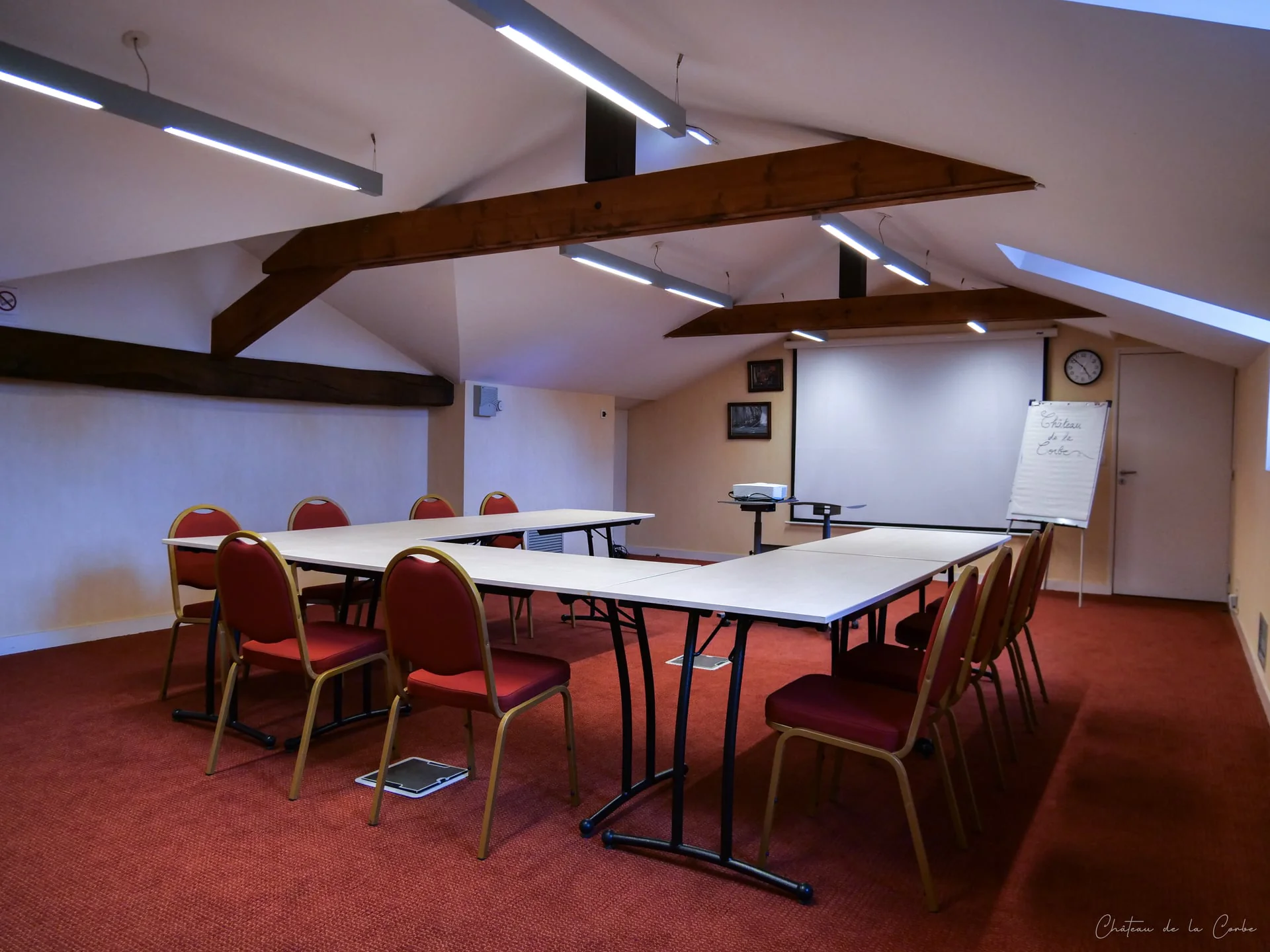 Le Château de la Corbe - Photo 14