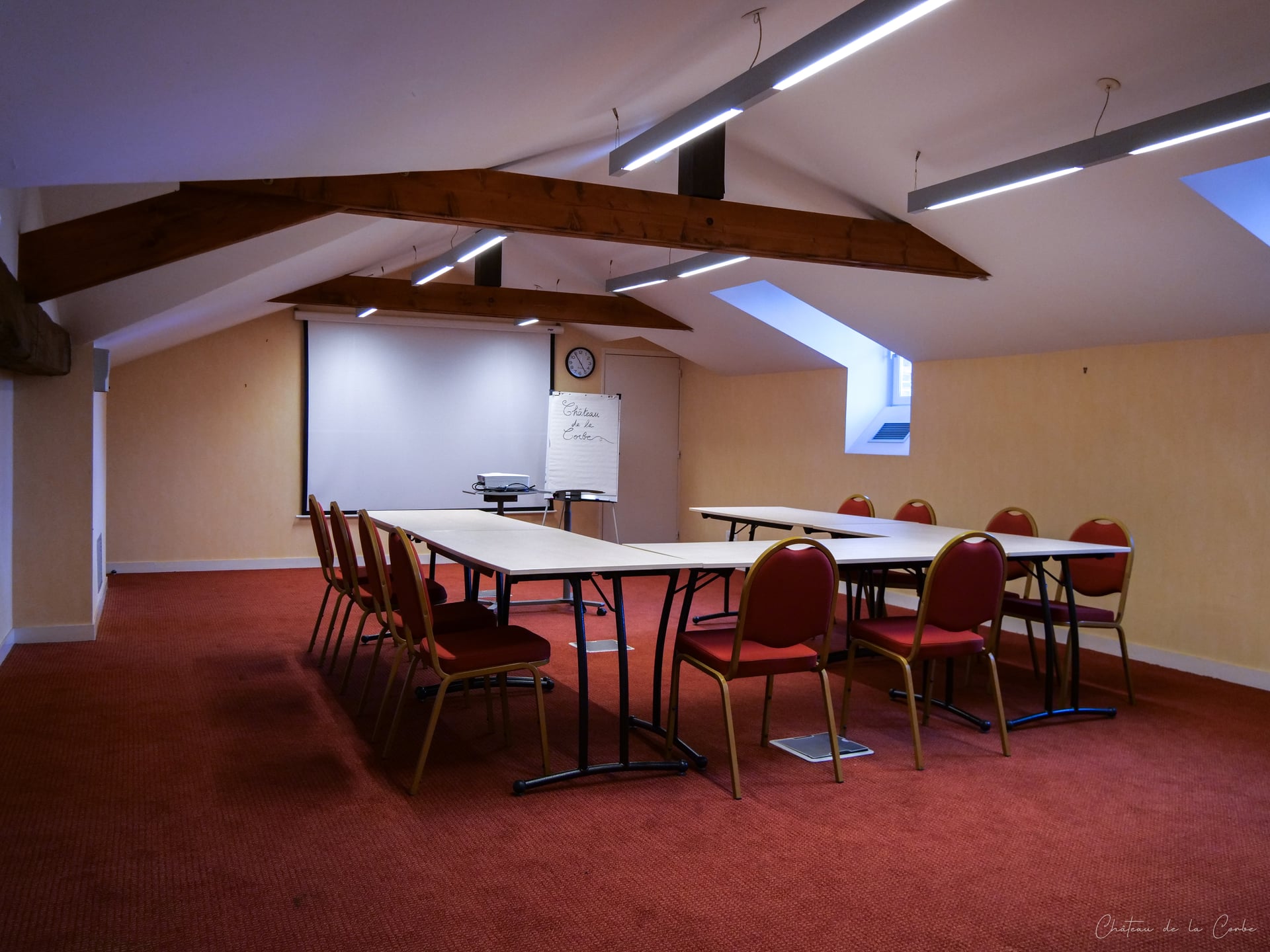 Le Château de la Corbe - Photo 16