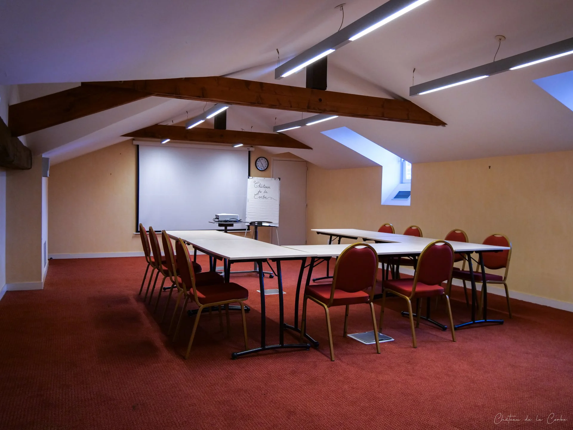 Le Château de la Corbe - Photo 16