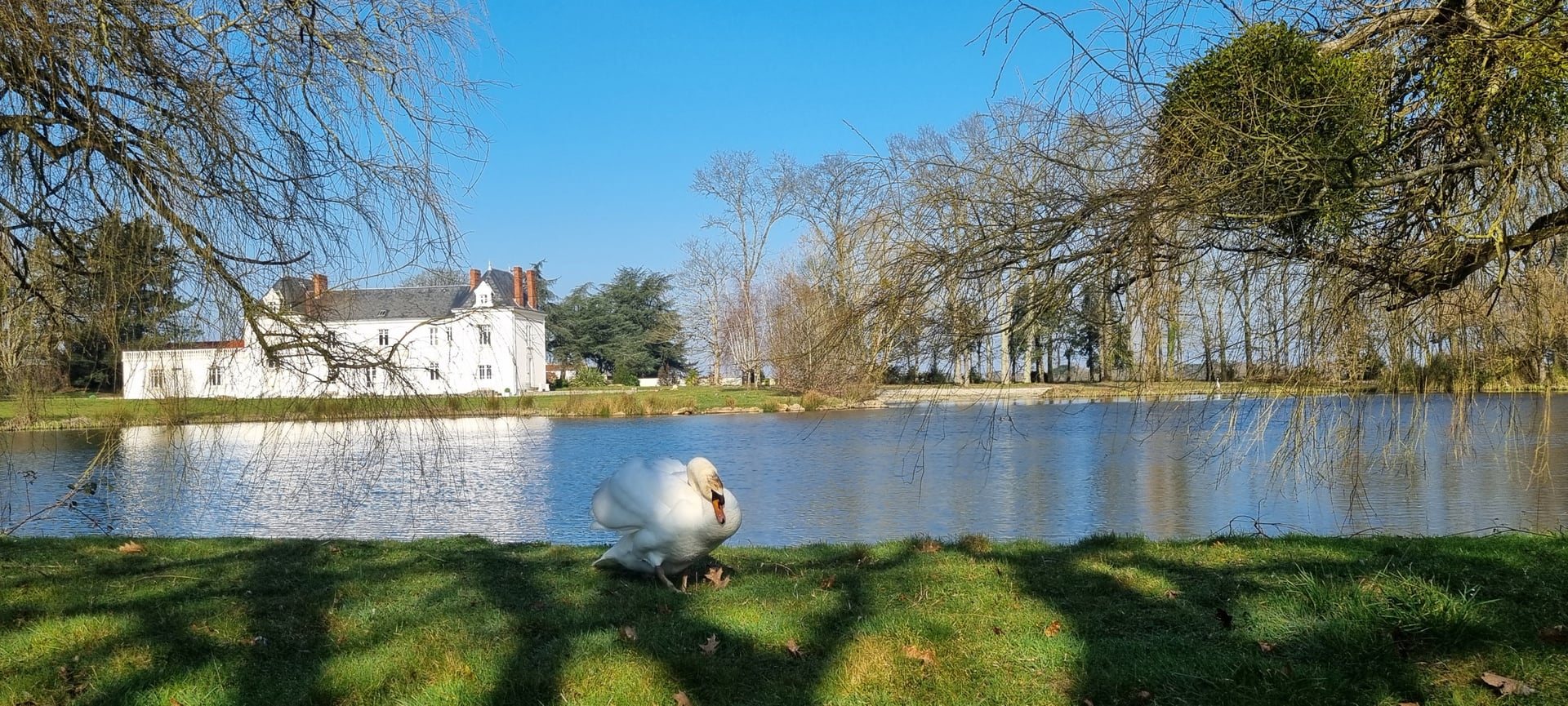 Le Manoir de la Boulaie - Photo 4