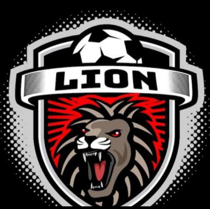 THE KING LIONS FC
