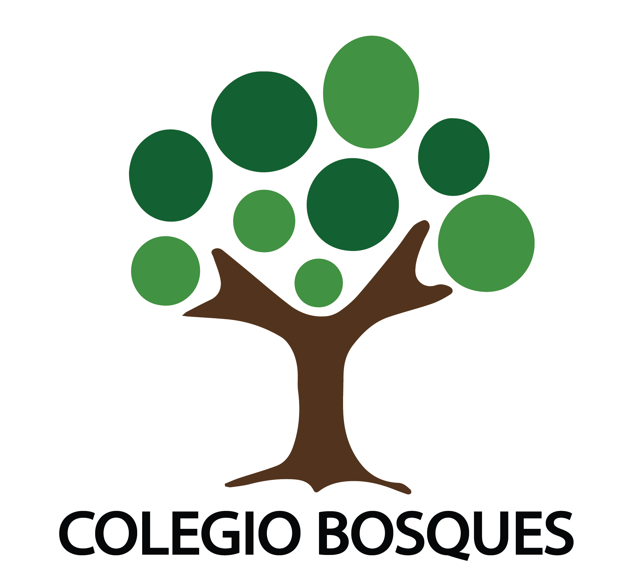 Logo del equipo