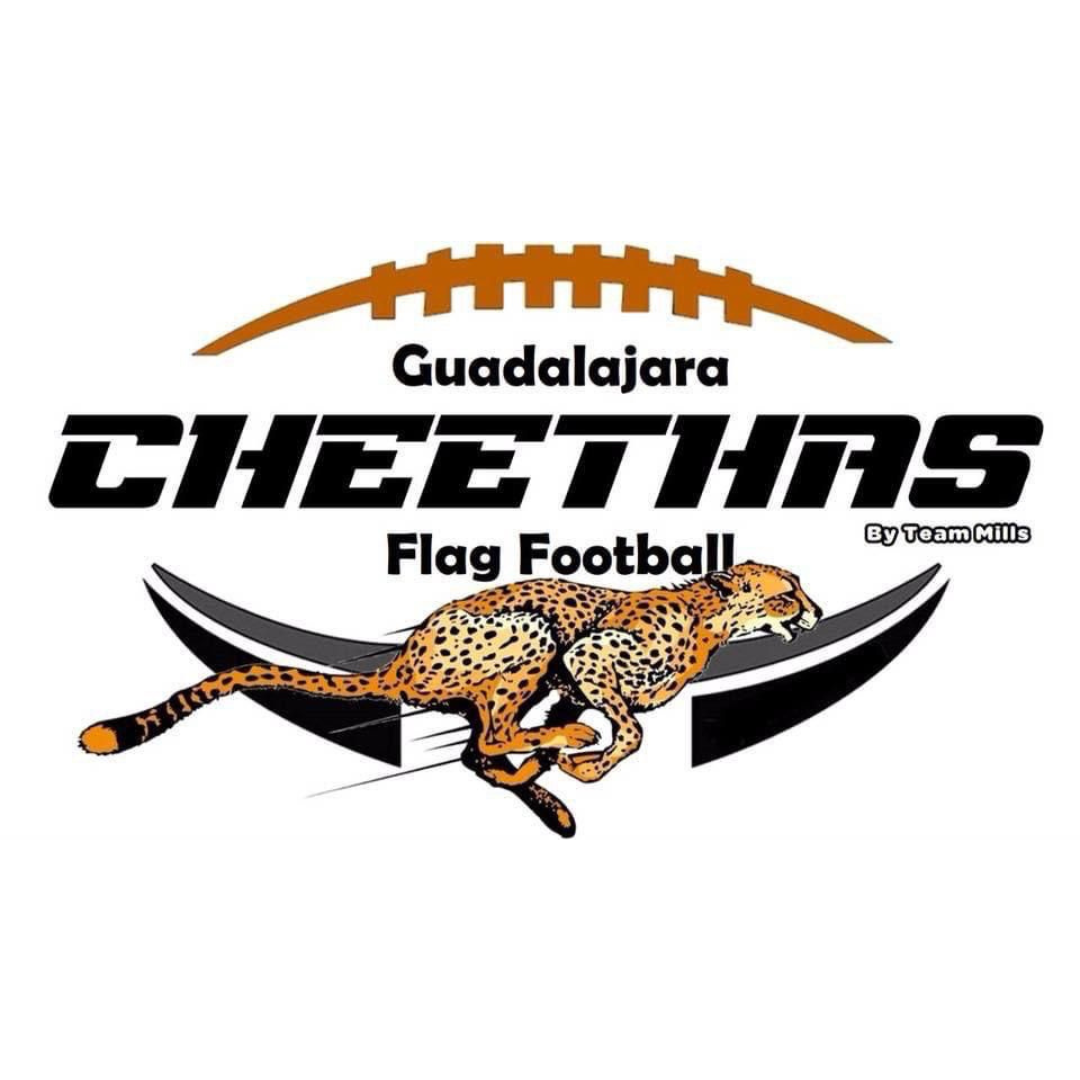 Logo del equipo