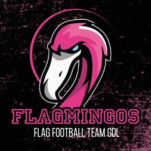 Logo del equipo