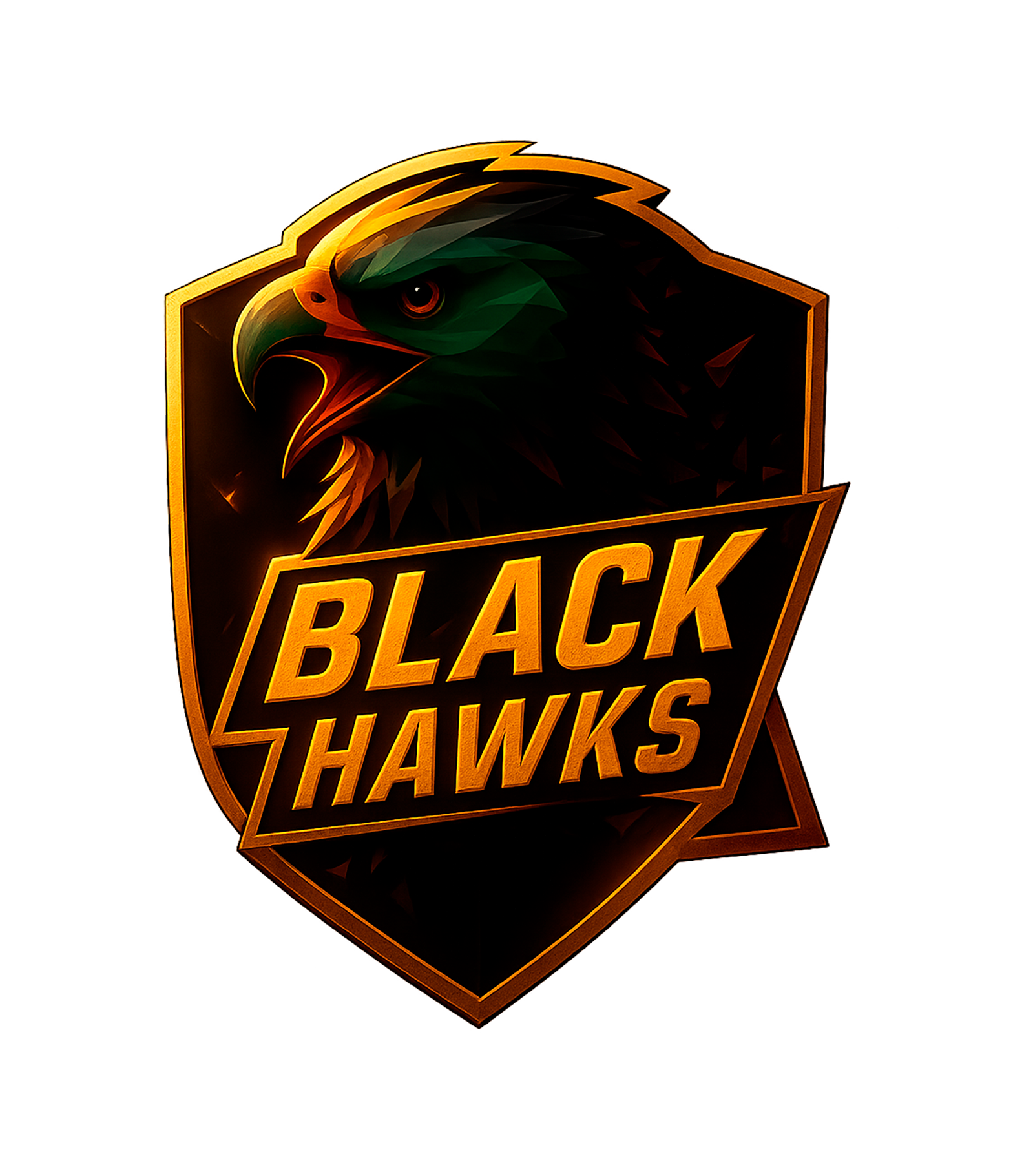 Logo de Black Hawks FC