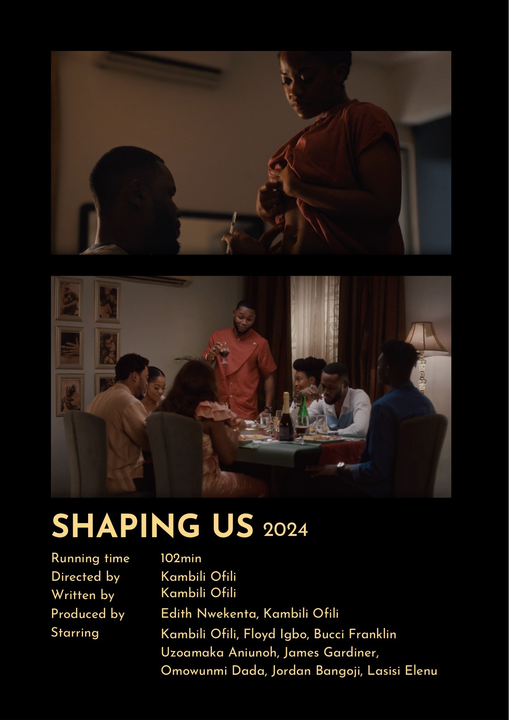 Shaping Us Movie Poster 2