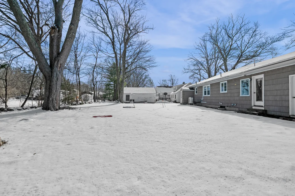 Exterior - Back Yard