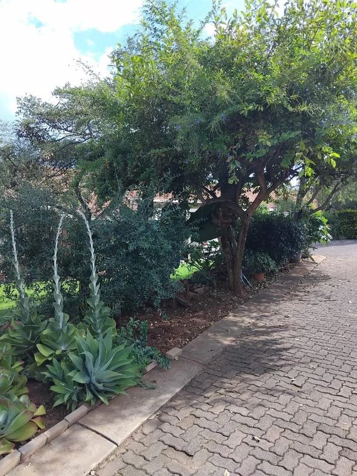 Light-filled apartment in Rosebank