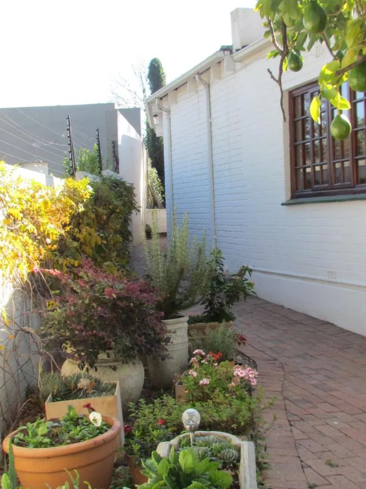 1 Bedroom Apartment / flat to rent in Parktown North
