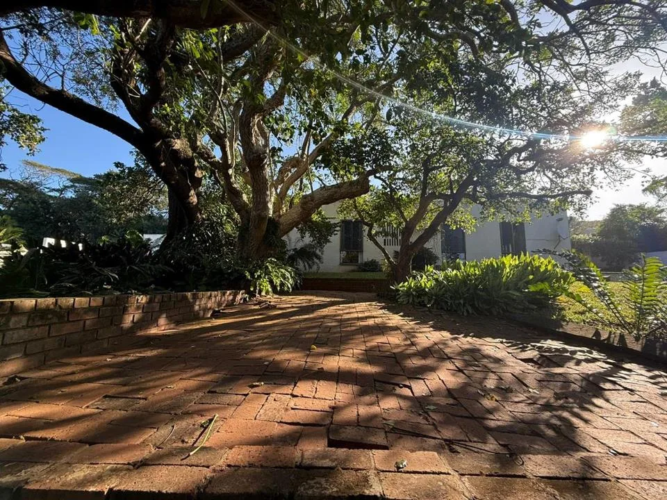 4 Bedroom House to rent in Mtunzini
