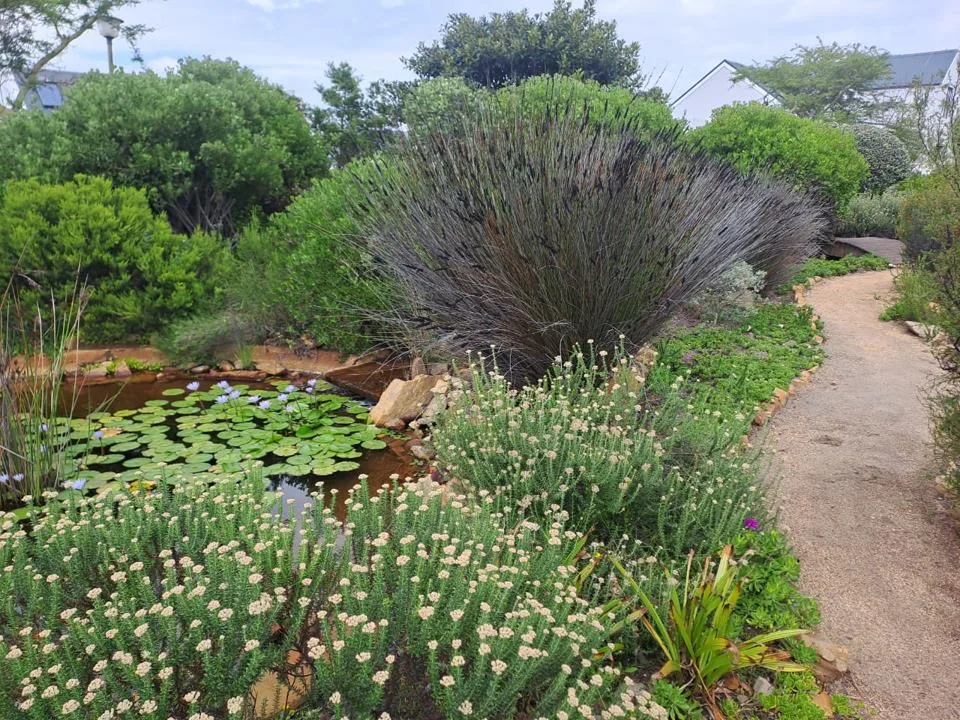 2 Bedroom Apartment / flat for sale in Westcliff