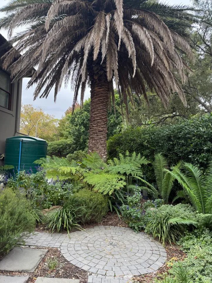 1 Bedroom Apartment / flat to rent in Golden Acre