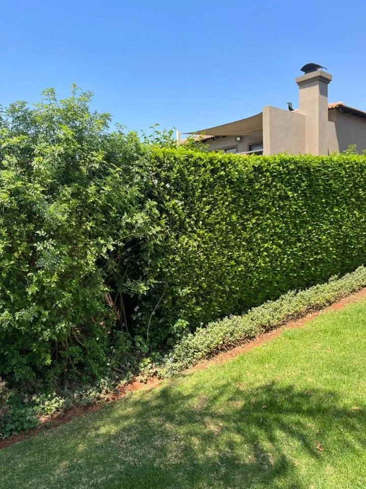 4 Bedroom House to rent in Moreleta Park